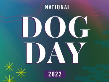 National Dog Day 2022